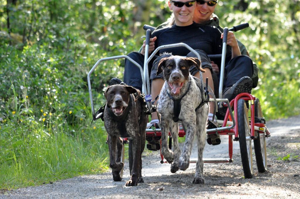 Birkelund Camping Geilo Zewnętrze zdjęcie
