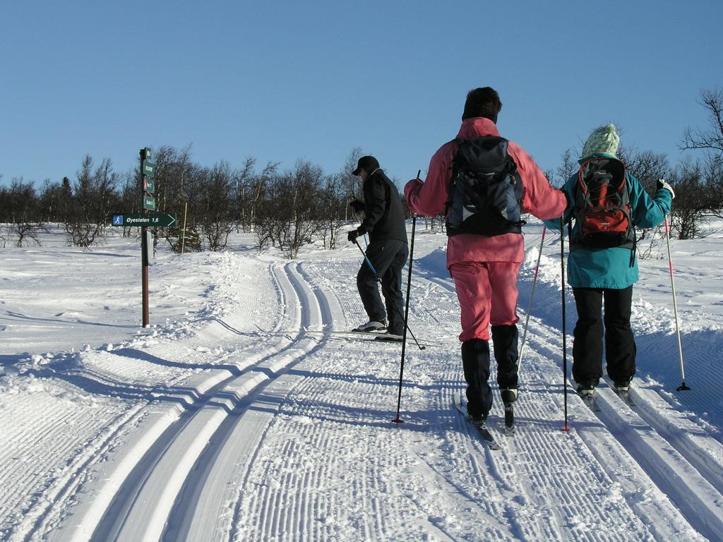 Birkelund Camping Geilo Zewnętrze zdjęcie