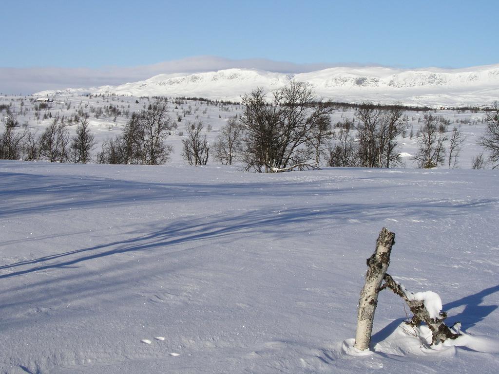 Birkelund Camping Geilo Zewnętrze zdjęcie