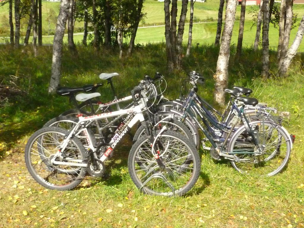 Birkelund Camping Geilo Zewnętrze zdjęcie